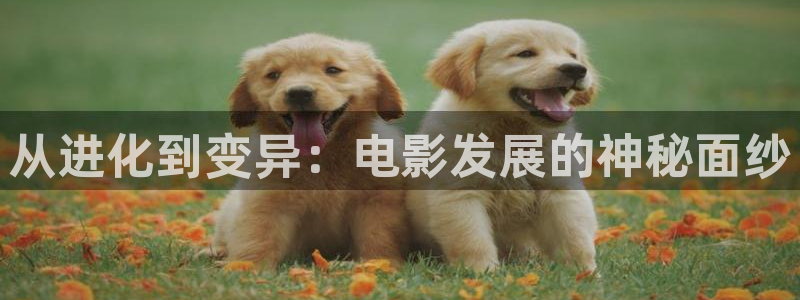 天堂影院私人影院