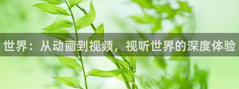 天堂影院午夜伦理