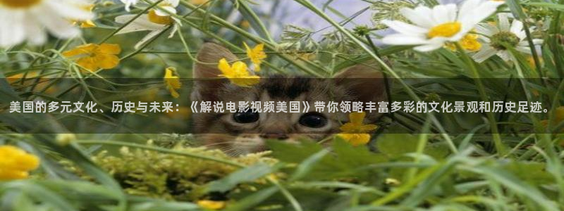 电影天堂919yy影视