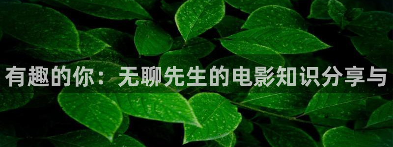 yy4480男人天堂
