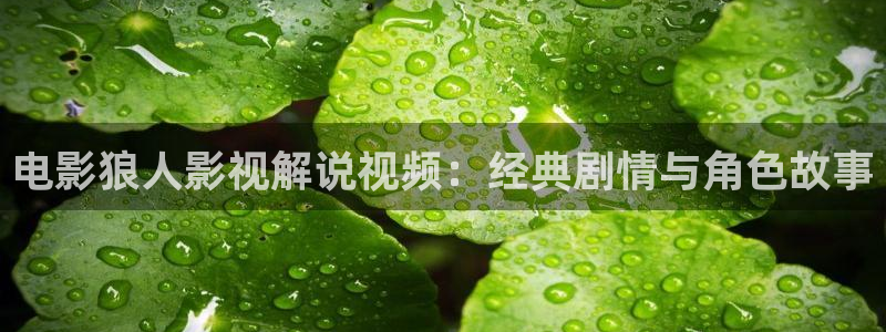 天堂影院电视剧免费观看