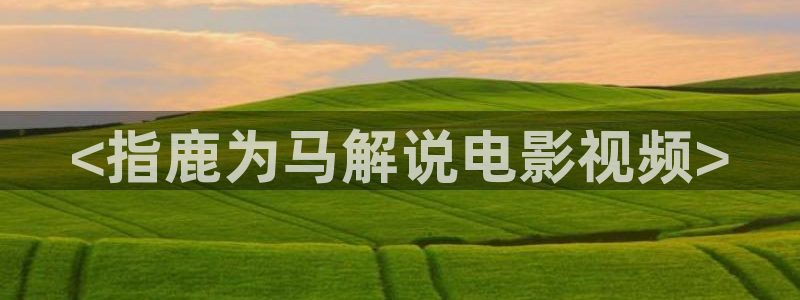 天堂光棍在线视频：<指鹿为马解说电影视频>