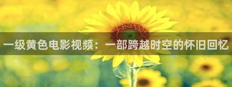 天堂光棍：一级黄色电影视频：一部跨越时空的怀旧回忆