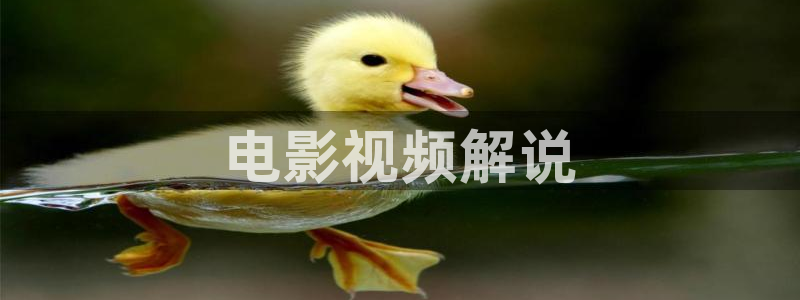 电影天堂动画