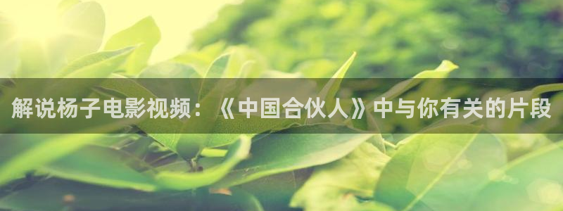 久久天堂精品视频：解说杨子电影视频：《中国合伙人》中与你有关的片段