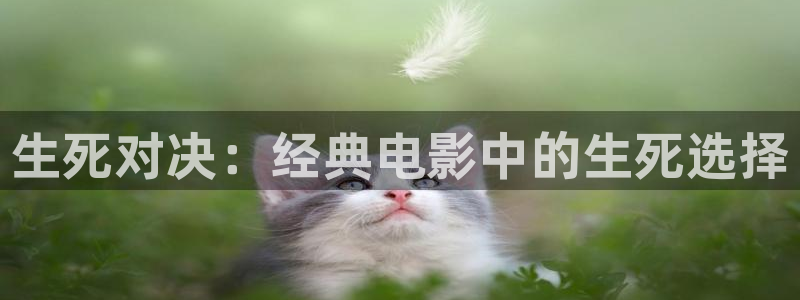 天堂神马电影：生死对决：经典电影中的生死选择