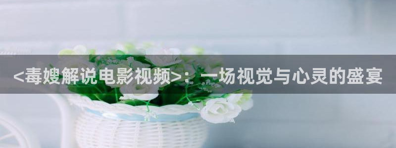 天堂影院免费在线观看电影电视剧：<毒嫂解说电影视频>：一场视觉与心灵的盛宴