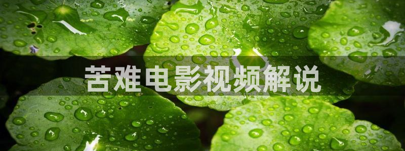 漫天堂官网