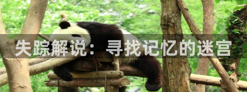 飘花影院新视觉影院特片网天堂影院：失踪解说：寻找记忆的迷宫