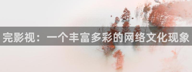 亚洲卡通天堂：完影视：一个丰富多彩的网络文化现象