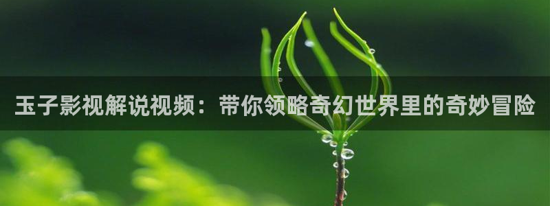 电影天堂网：玉子影视解说视频：带你领略奇幻世界里的奇妙冒险