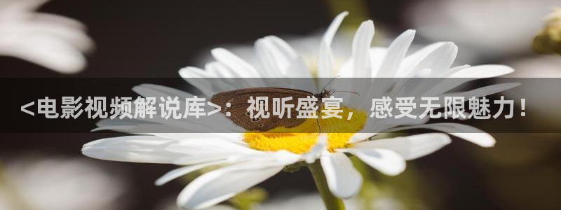 天堂草原影院电视剧：<电影视频解说库>：视听盛宴，感受无限魅力！
