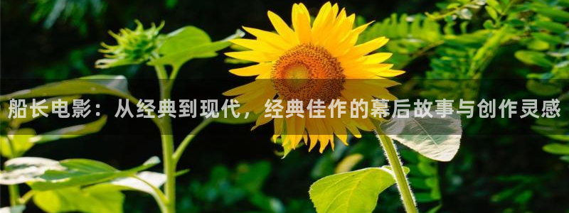 2025禁天漫天堂下载链接：船长电影：从经典到现代，经典佳作的幕后故事与创作灵感