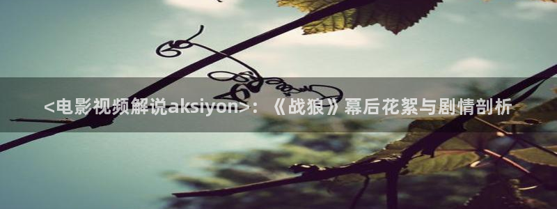 天堂影视神马午夜：<电影视频解说aksiyon>：《战狼》幕后花絮与剧情剖析