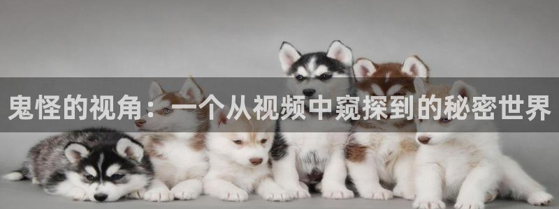 萝莉天堂在线