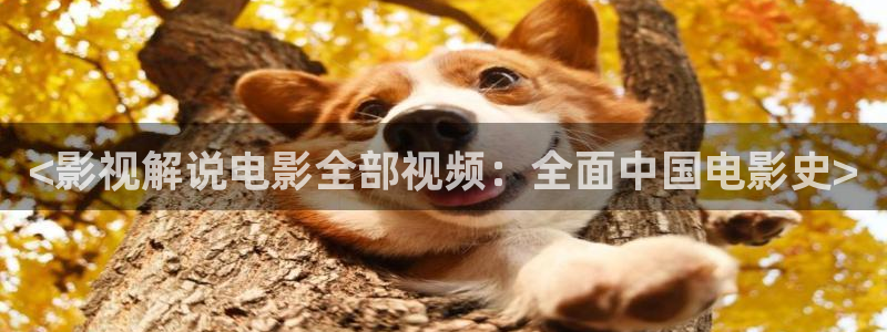 午夜电影天堂网
