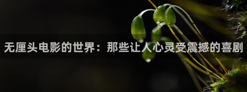 色漫天堂免费版