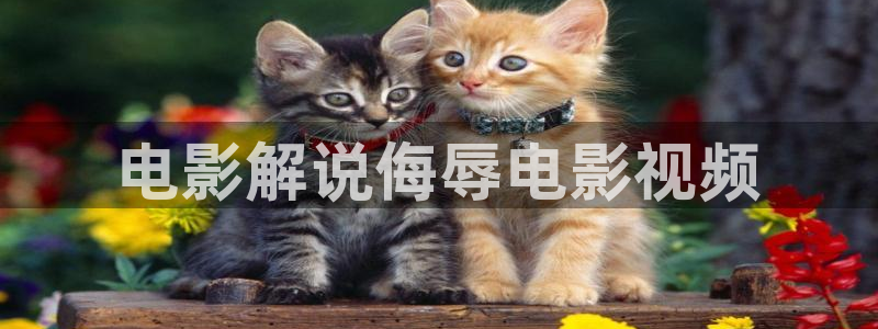 eeuss2012天堂伦理影院