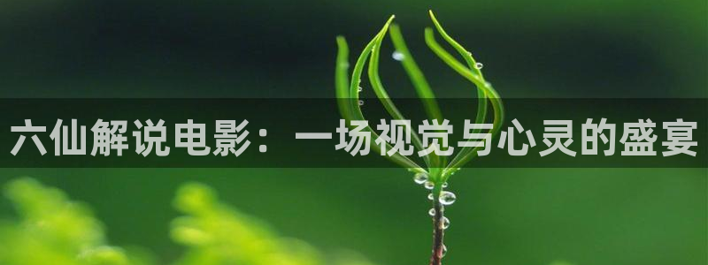 av在线天堂蜜桃
