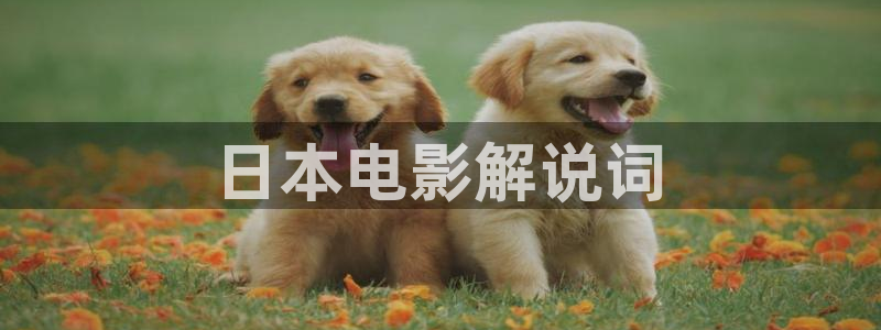天堂影视在线免费观看电视剧：日本电影解说词