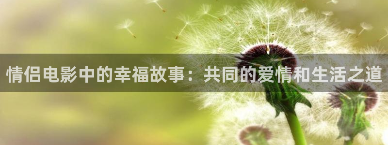 禁天堂漫网址：情侣电影中的幸福故事：共同的爱情和生活之道