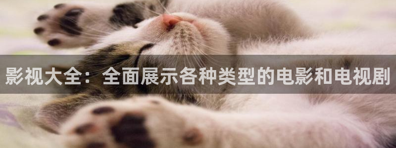 色漫天堂污污：影视大全：全面展示各种类型的电影和电视剧