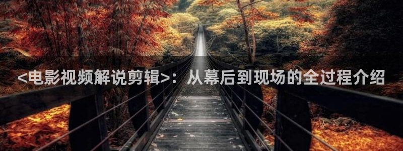达达兔影院神马电影天堂：<电影视频解说剪辑>：从幕后到现场的全过程介绍