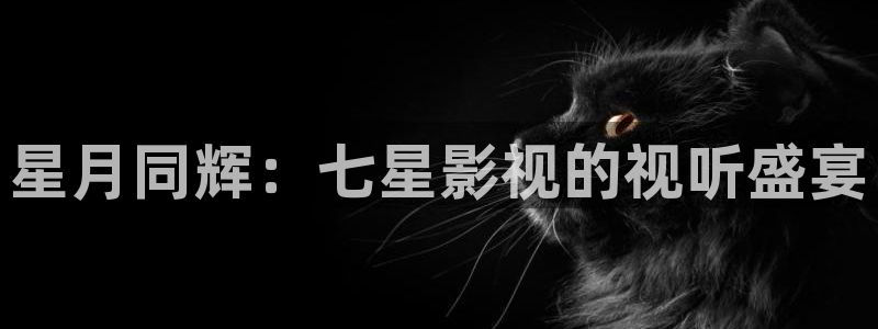 被窝电影高清天堂：星月同辉：七星影视的视听盛宴