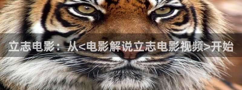 天天影院电影天堂：立志电影：从<电影解说立志电影视频>开始