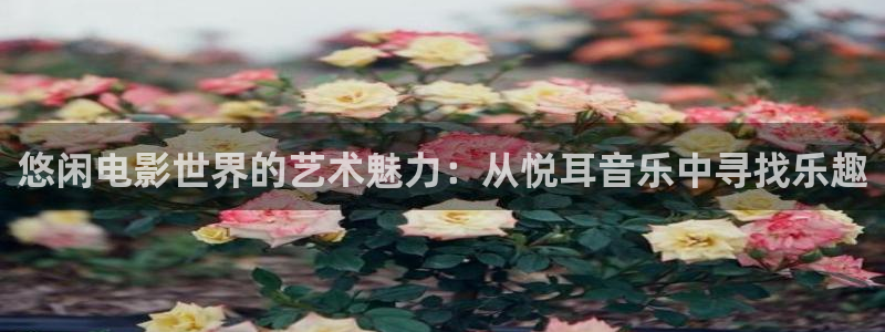 神马电影午夜天堂：悠闲电影世界的艺术魅力：从悦耳音乐中寻找乐趣