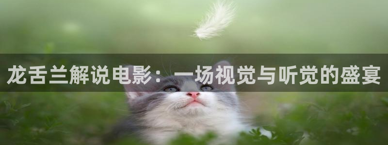 神马天堂ok影院：龙舌兰解说电影：一场视觉与听觉的盛宴