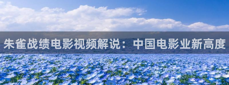 禁天漫天堂链接：朱雀战绩电影视频解说：中国电影业新高度