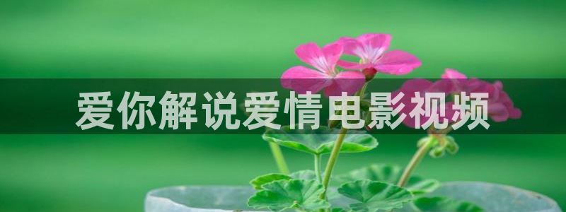 禁18漫天堂：爱你解说爱情电影视频