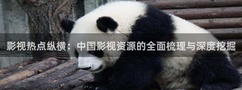 天堂网电影电视剧完整版在线观看：影视热点纵横：中国影视资源的全面梳理与深度挖掘