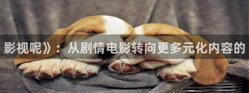 天堂午夜影院：影视呢》：从剧情电影转向更多元化内容的
