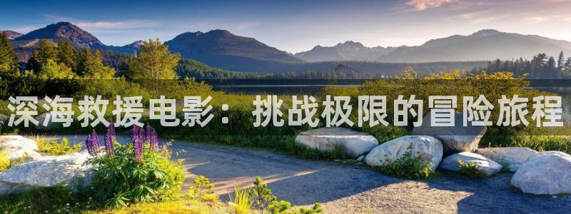 美妙天堂 动画片：深海救援电影：挑战极限的冒险旅程