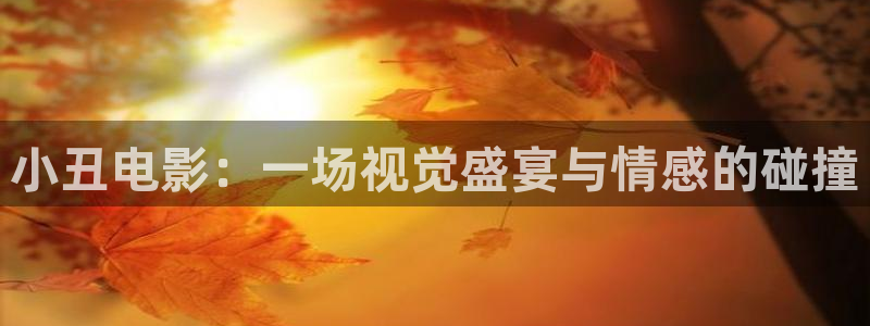9jin漫天堂：小丑电影：一场视觉盛宴与情感的碰撞