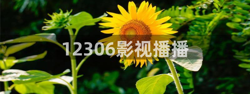 天堂社区精东影业：12306影视播播