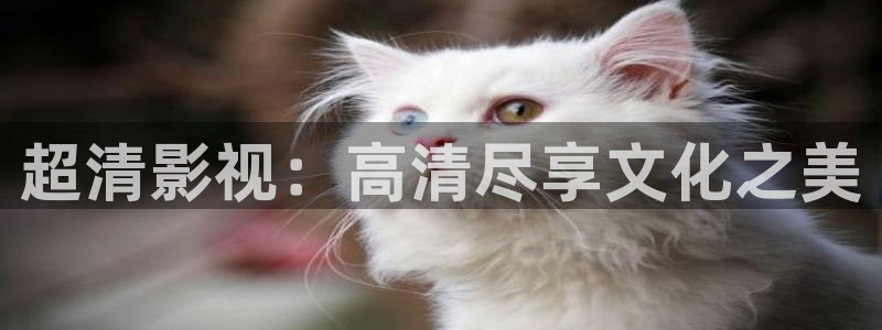 禁天漫天堂：超清影视：高清尽享文化之美
