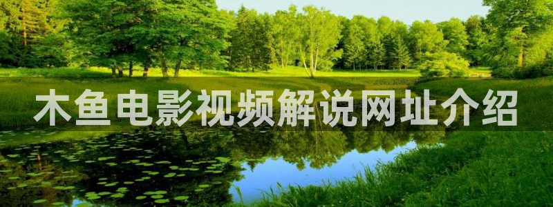 天堂网电影电视剧完整版在线观看：木鱼电影视频解说网址介绍