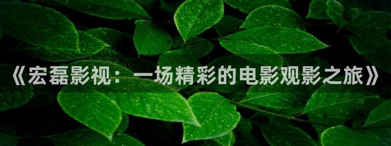 电影天堂动画片：《宏磊影视：一场精彩的电影观影之旅》