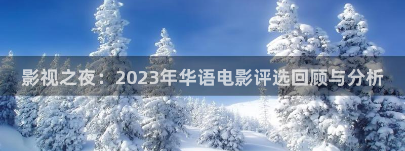 午夜影院男人的天堂：影视之夜：2023年华语电影评选回顾与分析