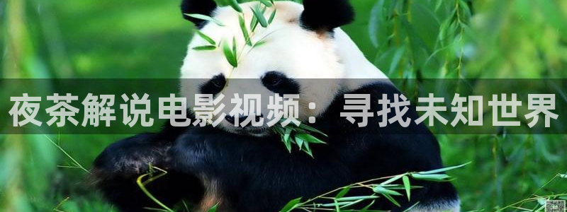 星辰影院电影天堂：夜茶解说电影视频：寻找未知世界