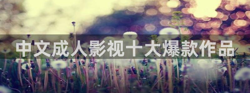 天天看片男人天堂：中文成人影视十大爆款作品