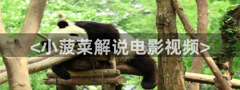2025禁天漫天堂下载链接：<小菠菜解说电影视频>