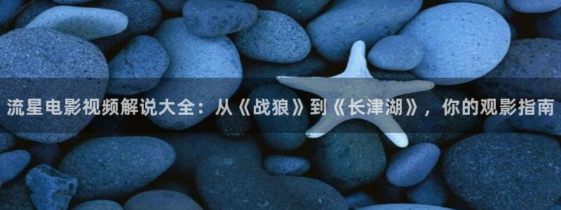 97天堂在线视频：流星电影视频解说大全：从《战狼》到《长津湖》，你的观影指南