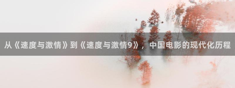 男人天堂第七影院：从《速度与激情》到《速度与激情9》，中国电影的现代化历程