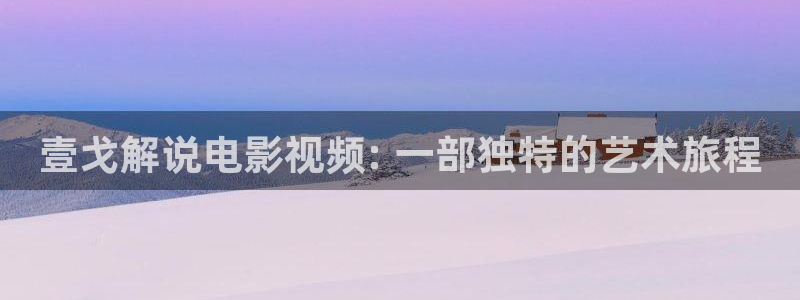 电影天堂伦理401：壹戈解说电影视频: 一部独特的艺术旅程