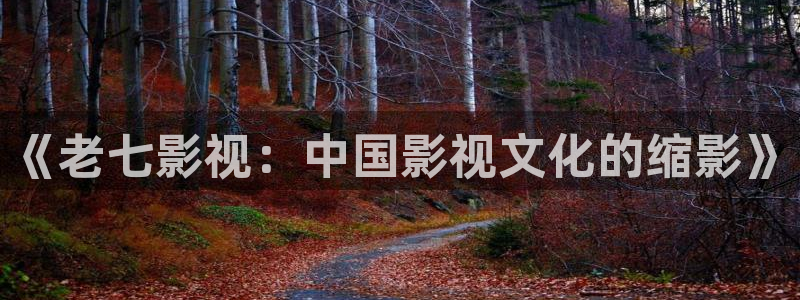 静漫天堂网站：《老七影视：中国影视文化的缩影》