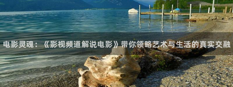 新视觉影院男人的天堂：电影灵魂：《影视频道解说电影》带你领略艺术与生活的真实交融